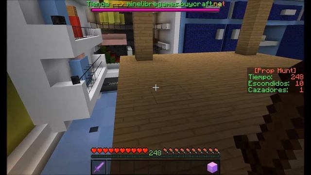 Minecraft Con Marsi 1