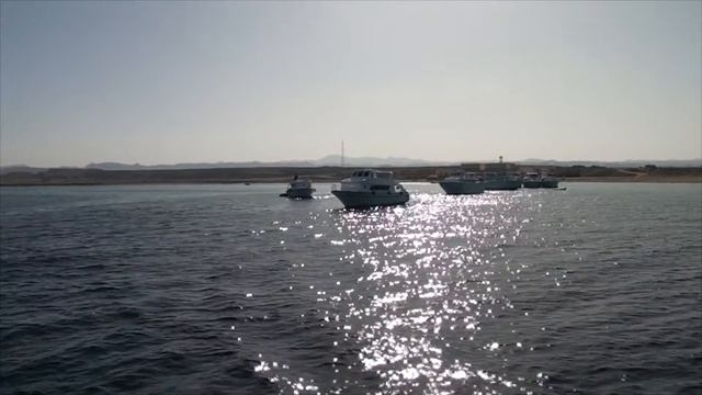 Port Ghalib | Egypt