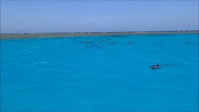 D50c7591972d435cc259e361e74ecd16