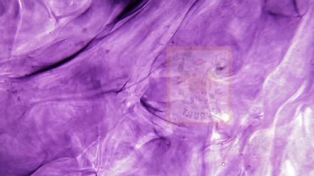 C9edb54f3c6e6de24fa5e3735ca01c7e