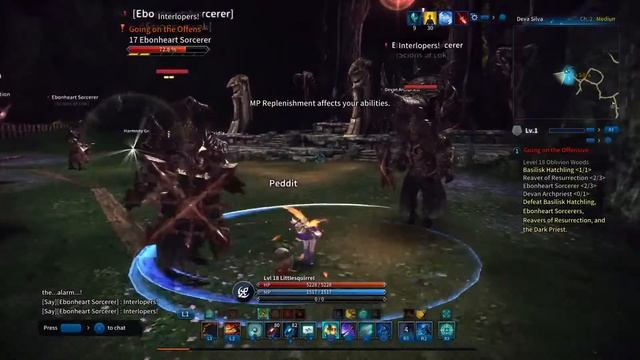 Valkyrie Gameplay In Tera
