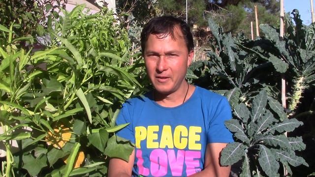Help John & Become A Raw Vegan Diet And Organic Gardening Expert