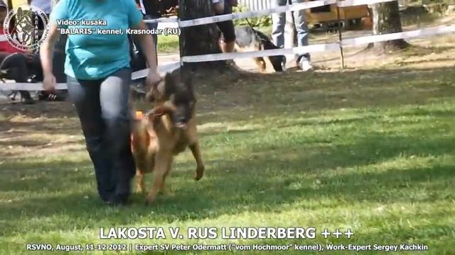 552ea3f1a4f074ed38449e603403ee68