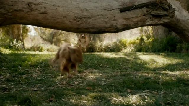 Другое мнение, на жизненную ситуацию!