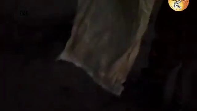 Люди,берегите природу !!!
