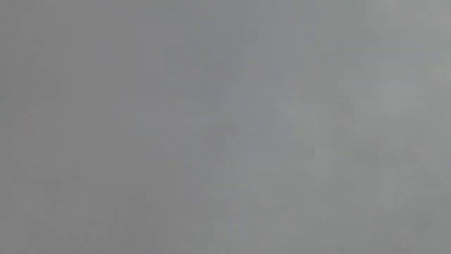 Голуби Махачкалы