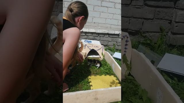 Untitled Video