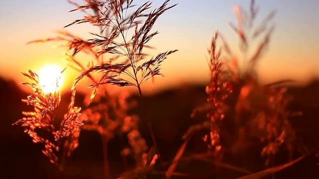 Смывают дожди наши надежды