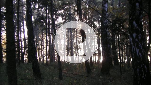 Dream Koala - Saturn Boy (Kid Smpl Remix)