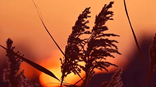 С днем водяного вас рыбаки!!!