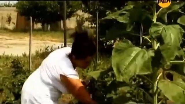 Секретные Территории - НЛО. Тайны Золота Фильм от