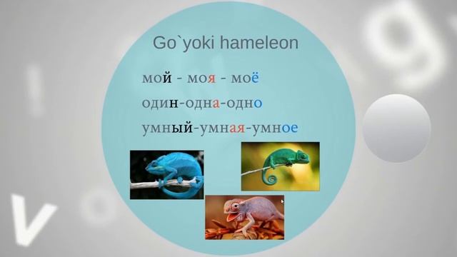 MADADKOR UZ № 10 HD