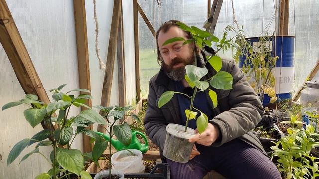 3eafdba0c459fb0cfa36292026e1060b