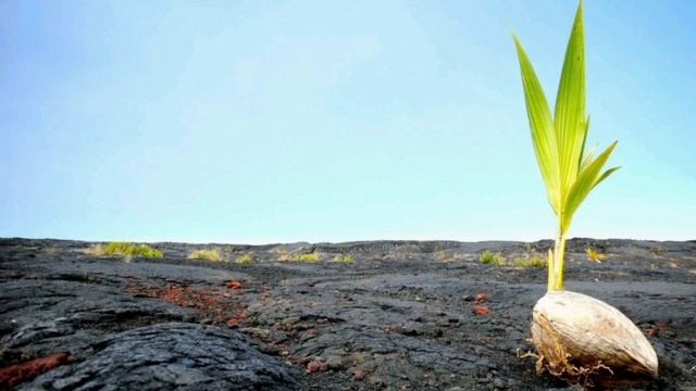 6151143c92c5450e13e7aa0adfea22c0