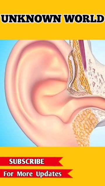 Space से आने के बाद Astronauts चल क्यों नहीं पाते | #unknownworldfacts #spacefacts #Astronauts