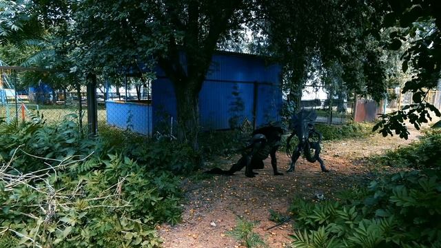 каждое утро моих уток ели пришельцы я их пояймал #news #new  #blog #Shorts