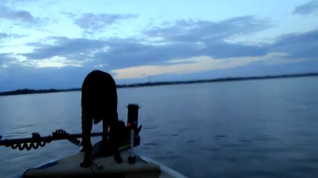 3efeb35a1d9d2ca0e85acf22a425eb0c