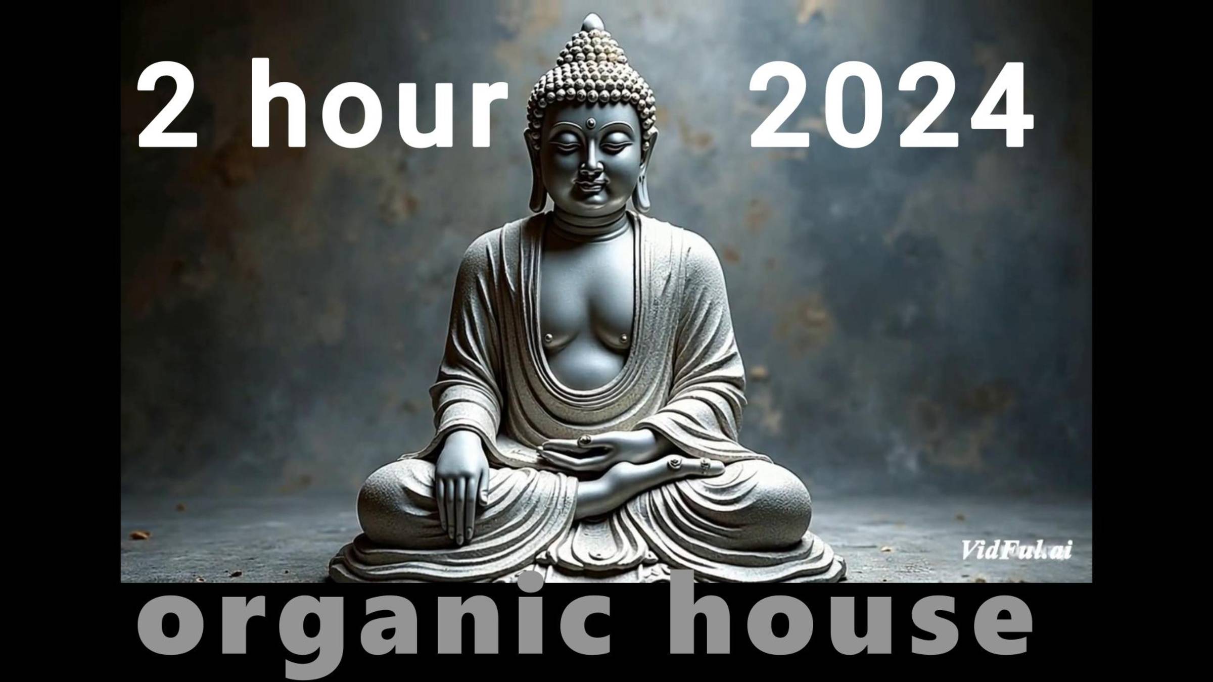 2 часа лучших треков Organic House  и Deep Hpuse за 2024