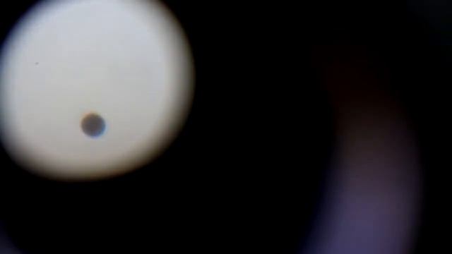 Транзит Венеры