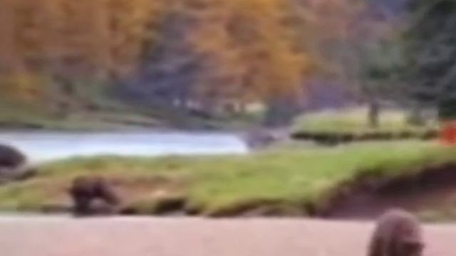 типичное видео 2009 года