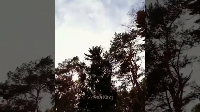 Виолета Кинг & День Благовещения и Магия Полнолуния 07/04/2020