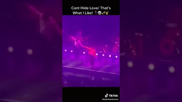 Silk Sonic Or Earth Wind & Fire? 🥵 That's What I Like × Cant Hide Love #silksonic #brunomars #AP