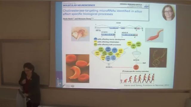 ELSC Seminar: Hermona Soreq