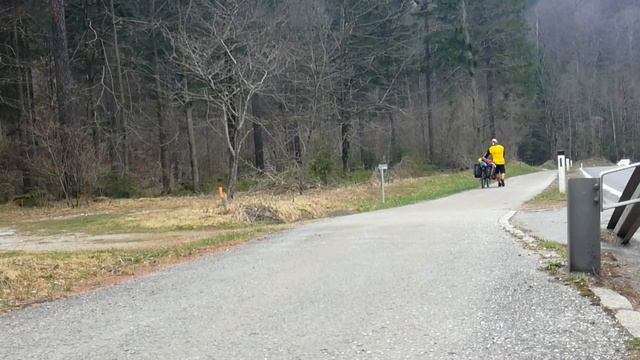 Пътешественик с велосипед и камера по света #adventure #cycle