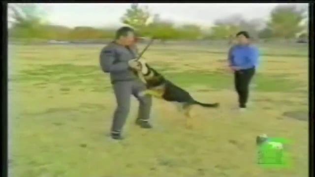 D057daca270e8bc089a0e7290abdd38e