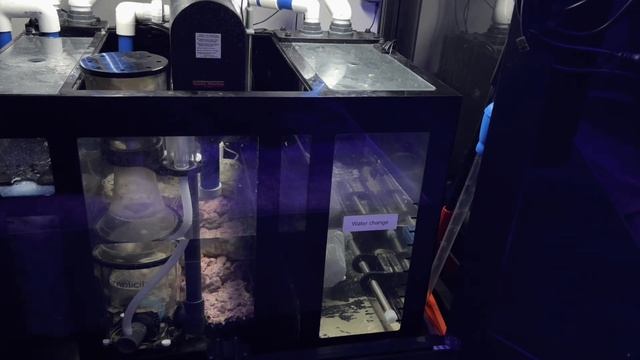 Ep.12 | A3 Apex Pro Monitoring & Water Testing