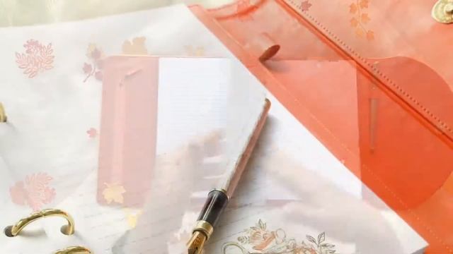 Осенний планер-клатч, видеообзор