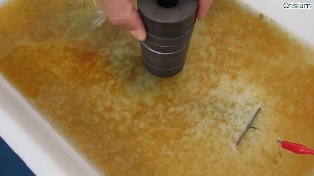 Magnetic Force On A Conductive Liquid  -  Vortex In A Magnetic Field