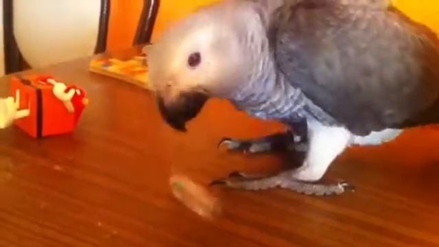 B4463a6010fa9b8e0f14b0da9da270ff