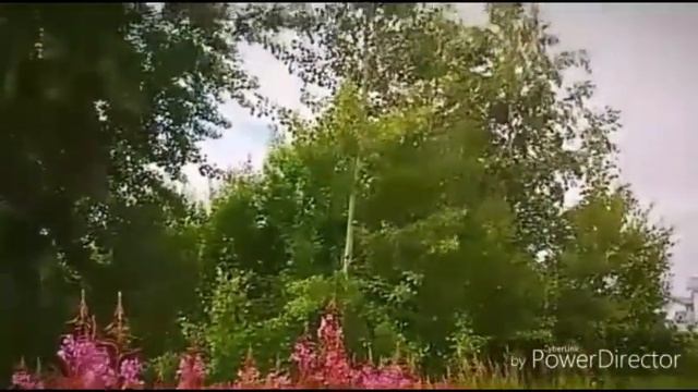 13 Iyul солнечное затмение