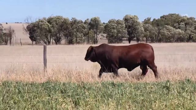 B2a03574f66831baa546eac16331c694