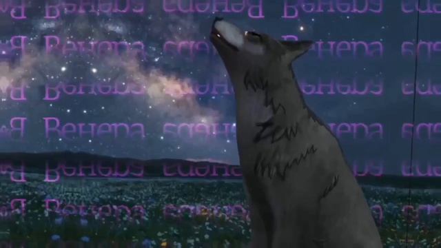 Wcmv °|•Венера Юпитер•|°