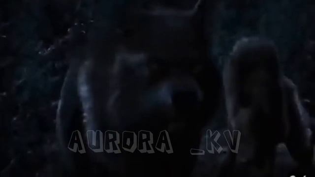 ⚔️Волки сумерки, волки⚔️🔥 клип🔥 🍷вино и сигареты 🚬