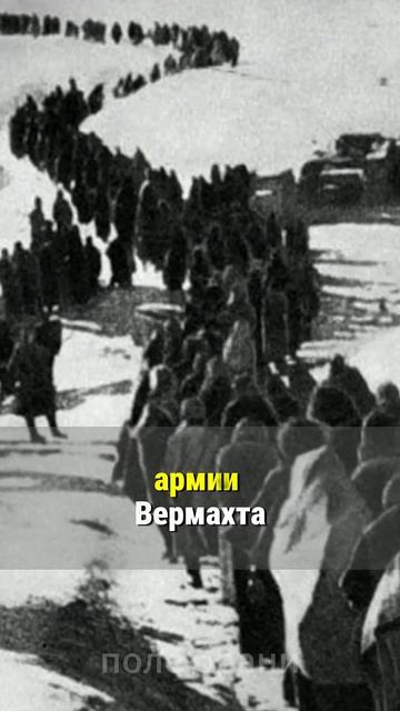 Причина поражения Германии, о которой никогда не говорят #shorts