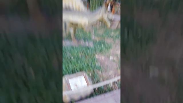 Я под впечатлением... Наш поход в Динопарк в Архипке