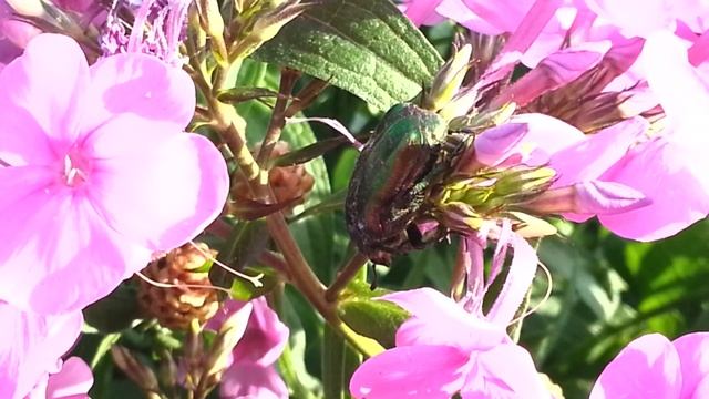 6fa22bb023039a70f2f223b834c47c5a