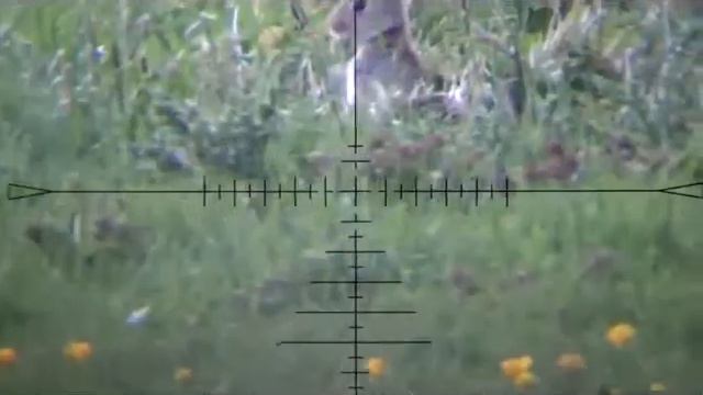 D8d278cd551aea01ac28c941ad2749f2