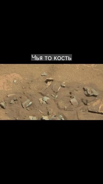 Жуткие находки на марсе #космос #марс #планета