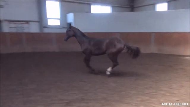 Санар-Шах