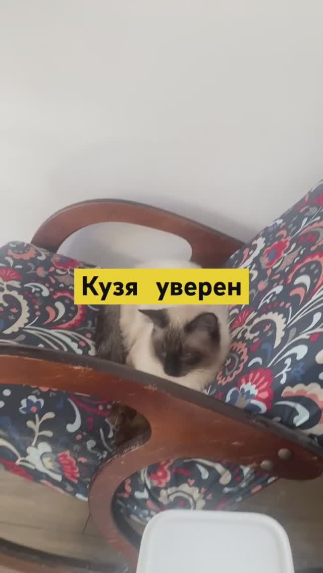 Кузя молодец!