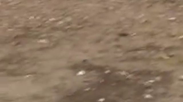 Città S. Angelo Via Torre Costiera