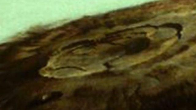 D2031a4c7289ec363679b95e3102fe2f