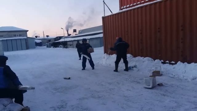 бойцы петропавловска