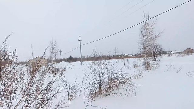 51320934,51320887,51320880