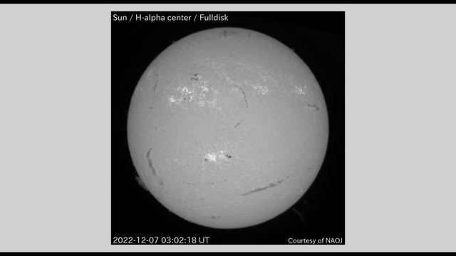 太陽 Hα全面観測 全面画像 2022年12月07日(Sun H-alpha Full Scale Observation, Full Image, Dec. 07, 2022)