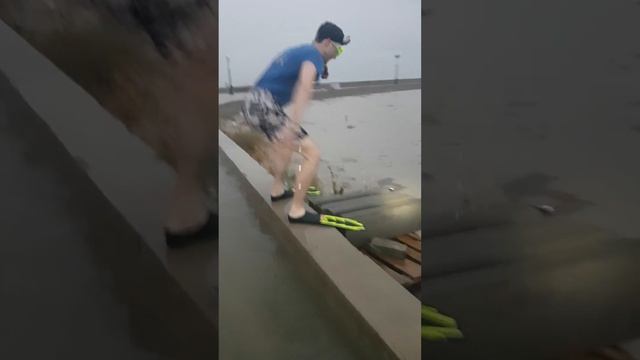 Новороссийск потоп 04.06.2016 набережная